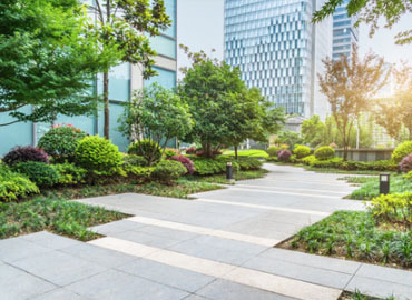 Peyzaj ve Çevre Düzenleme